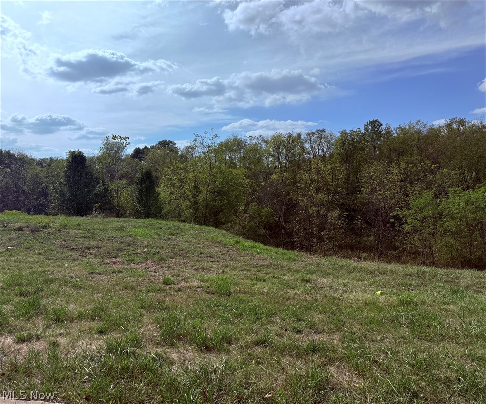 Cara Place Wintersville OH 43952
