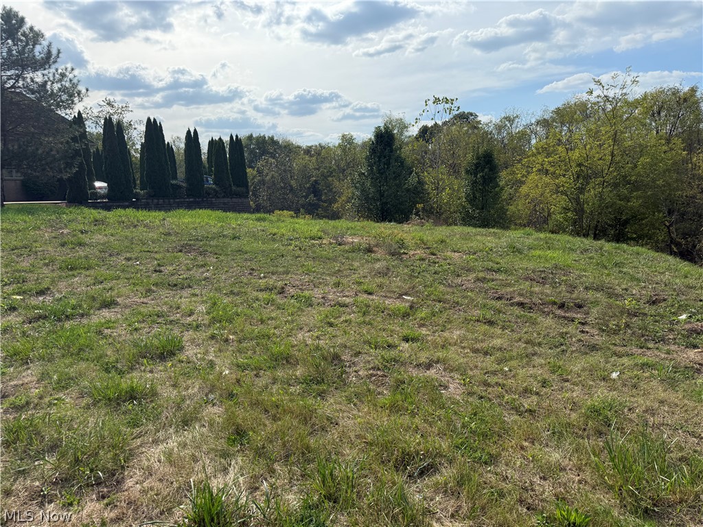 Cara Place Wintersville OH 43952