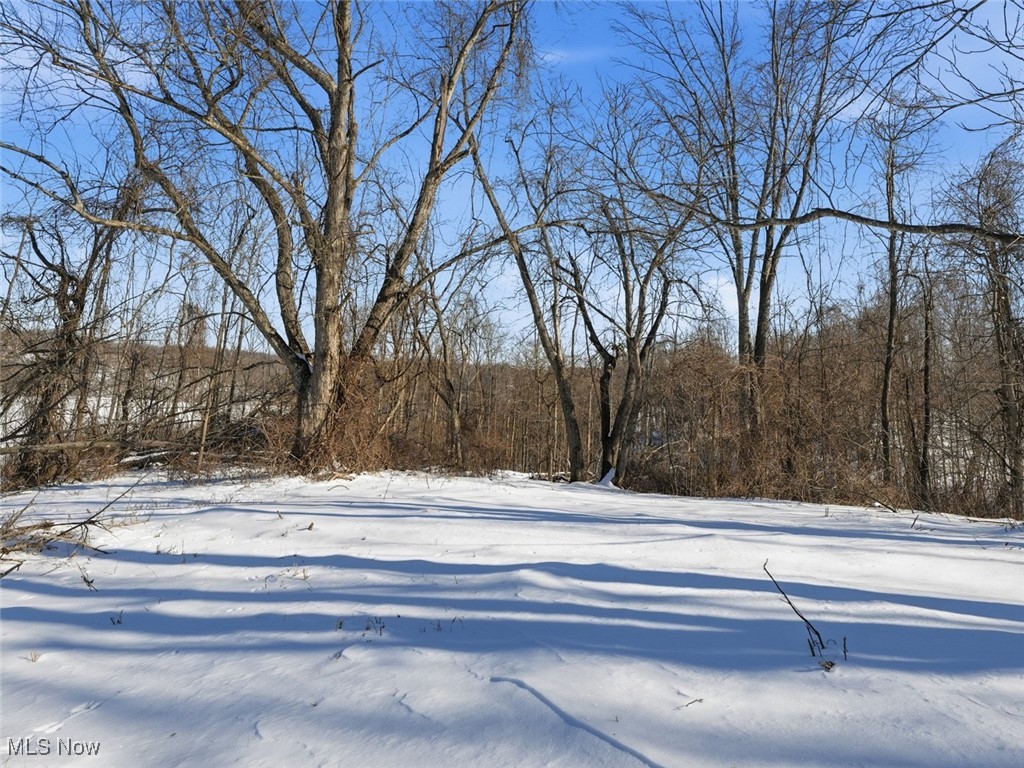 Parcel 5 State Route 376 Mcconnelsville OH 43787