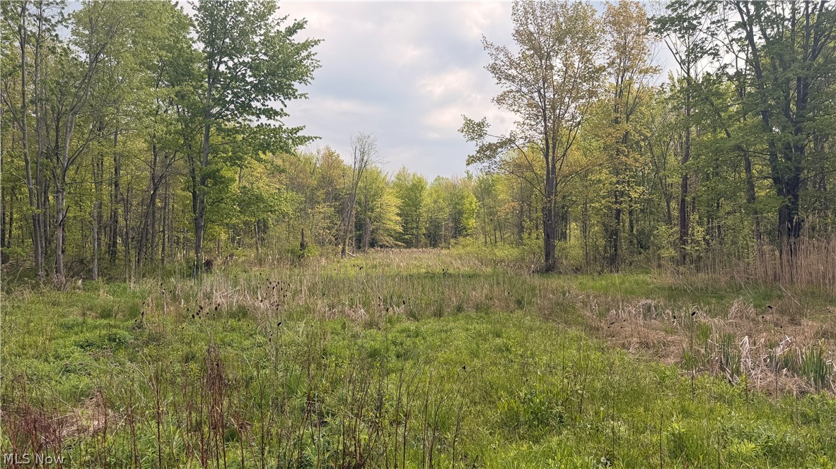 Munson Hill Road Ashtabula OH 44004