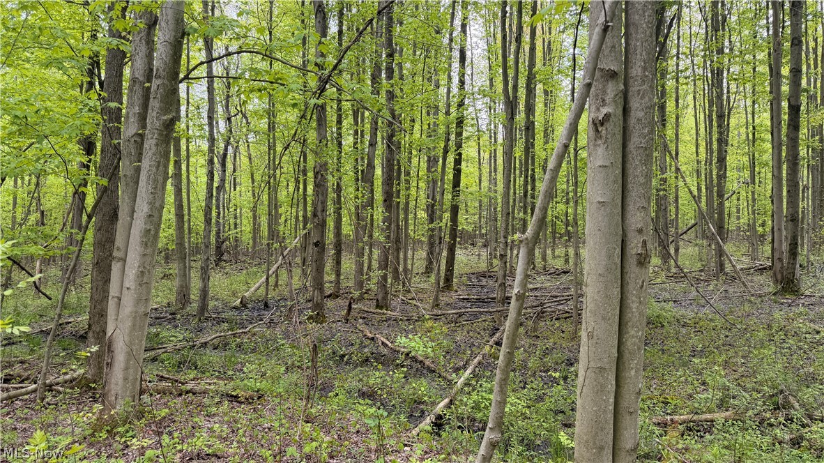 Munson Hill Road Ashtabula OH 44004