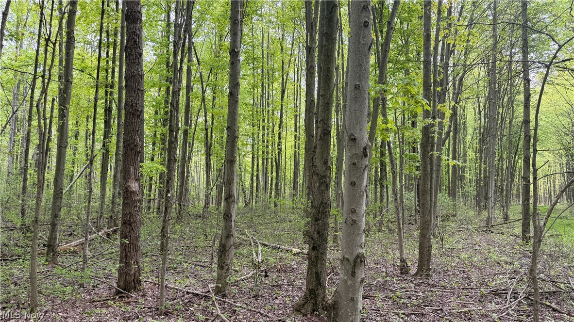 Munson Hill Road Ashtabula OH 44004