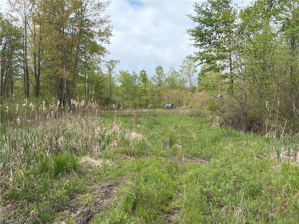 Munson Hill Road Ashtabula OH 44004