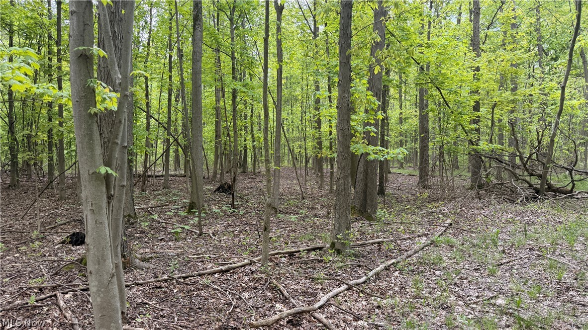Munson Hill Road Ashtabula OH 44004