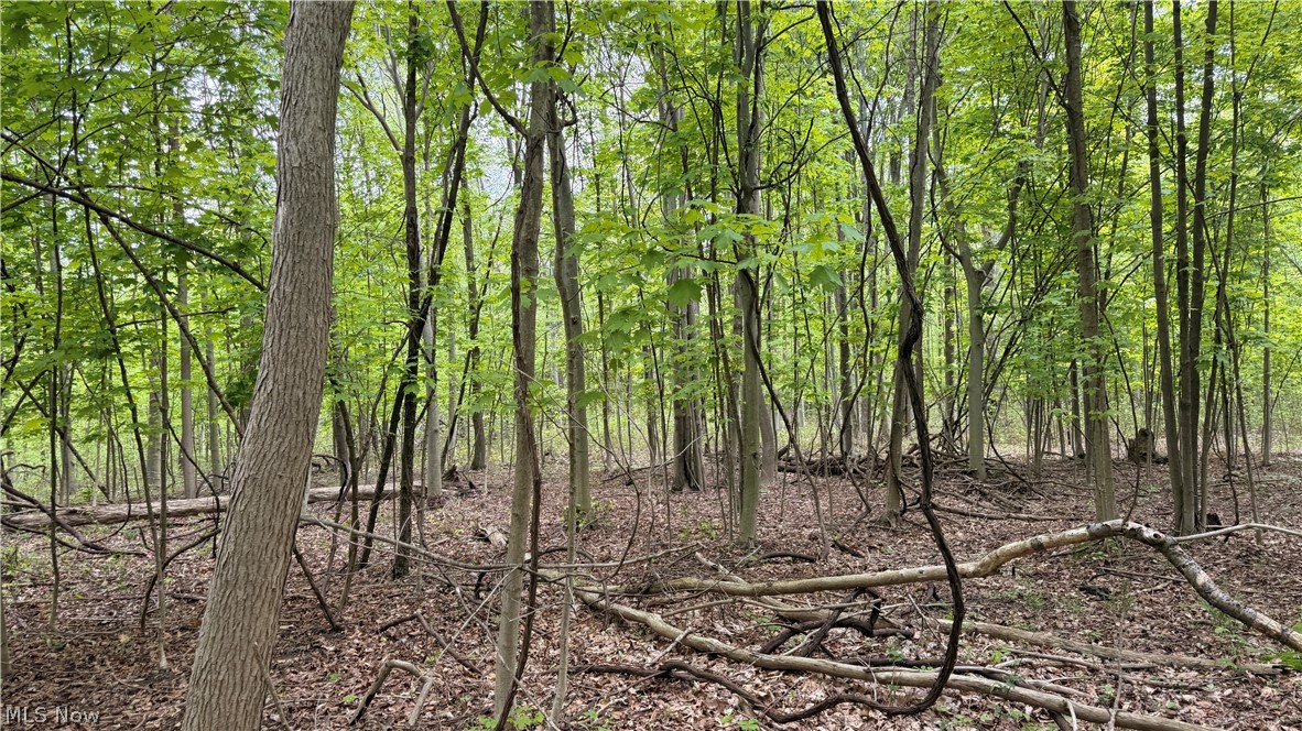 Munson Hill Road Ashtabula OH 44004