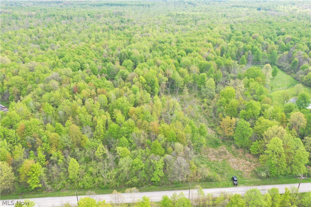 Munson Hill Road Ashtabula OH 44004