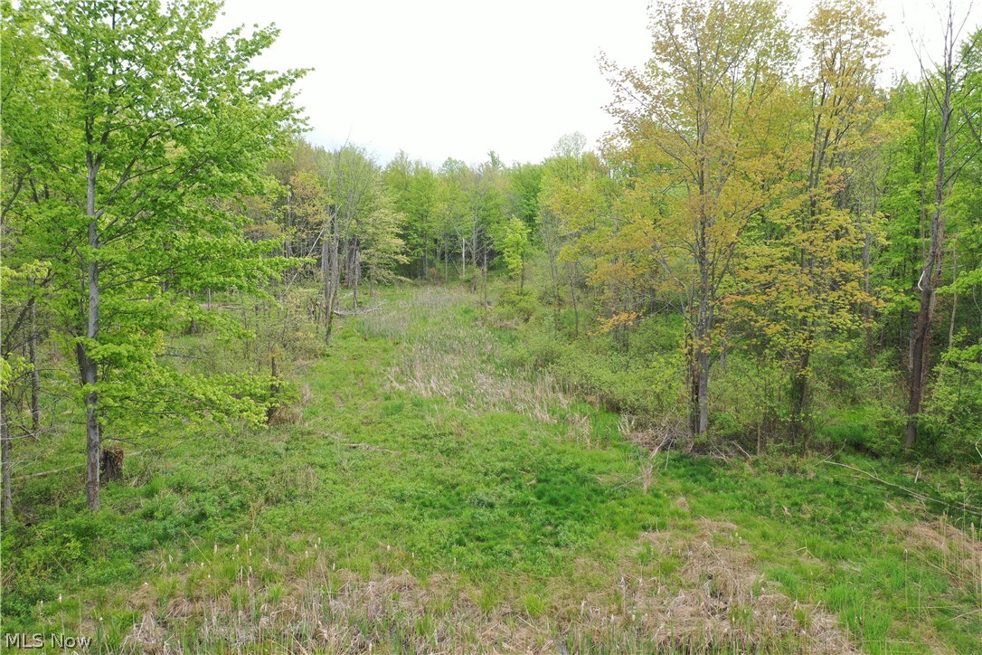 Munson Hill Road Ashtabula OH 44004