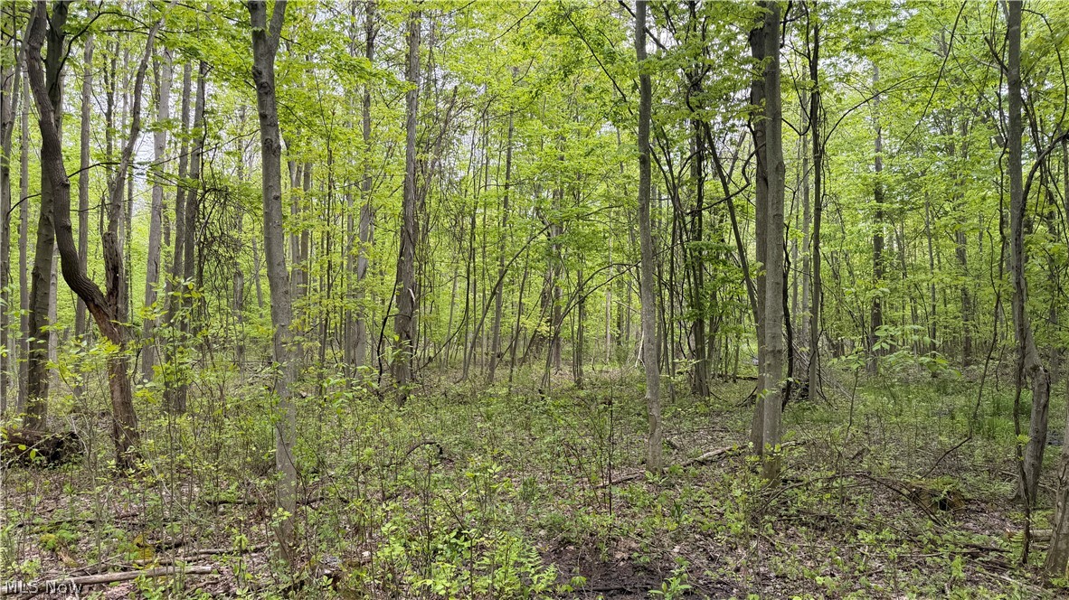 Munson Hill Road Ashtabula OH 44004