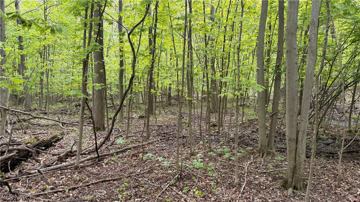 Munson Hill Road Ashtabula OH 44004