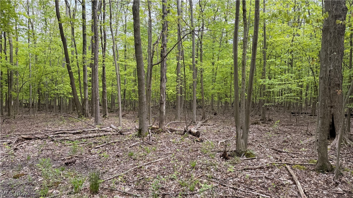 Munson Hill Road Ashtabula OH 44004