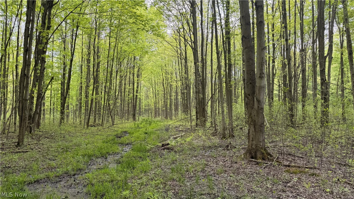 Munson Hill Road Ashtabula OH 44004