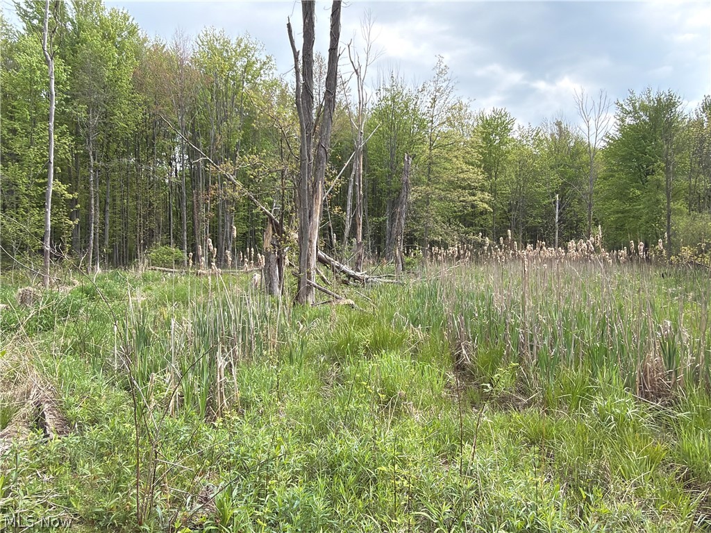 Munson Hill Road Ashtabula OH 44004