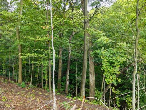 2959 Rohrer Road Wadsworth OH 44281