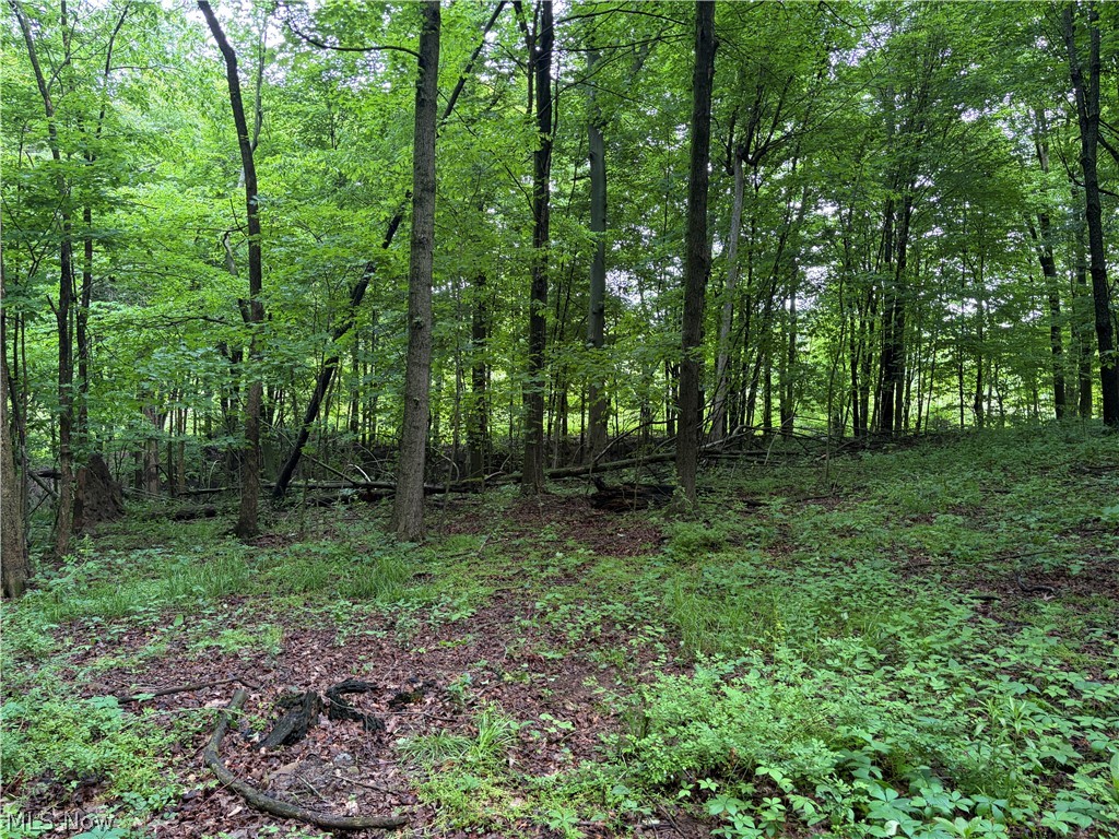 8416 Township Road 551 Shreve OH 44676