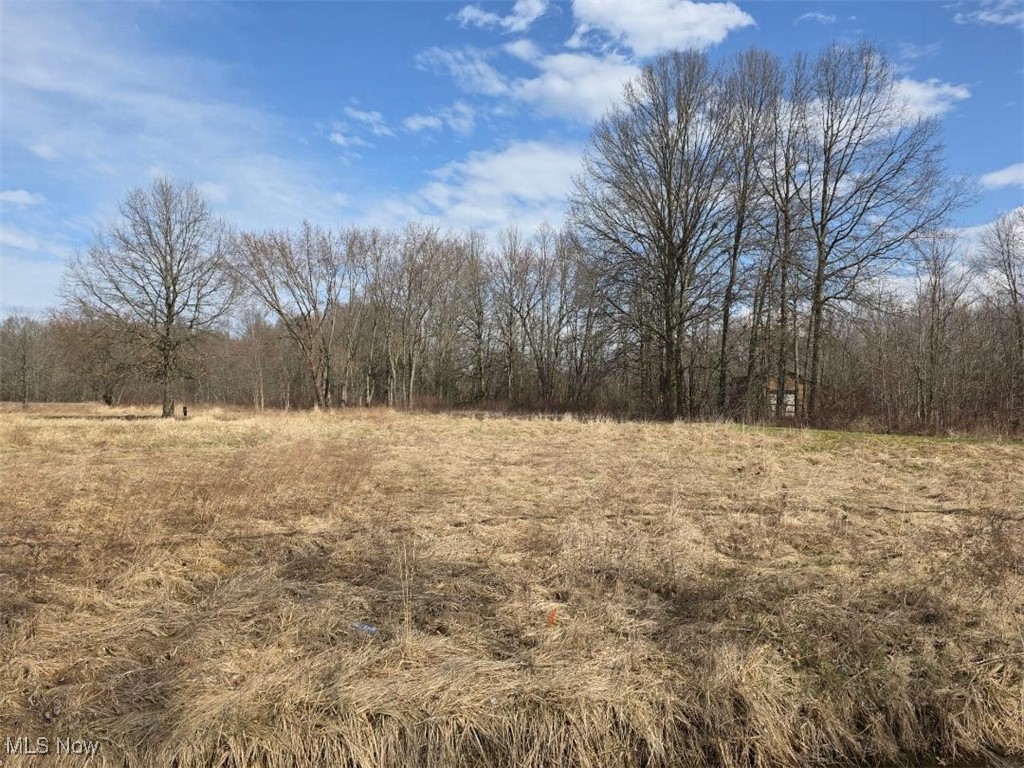 3366 Eagle Creek Road Leavittsburg OH 44430