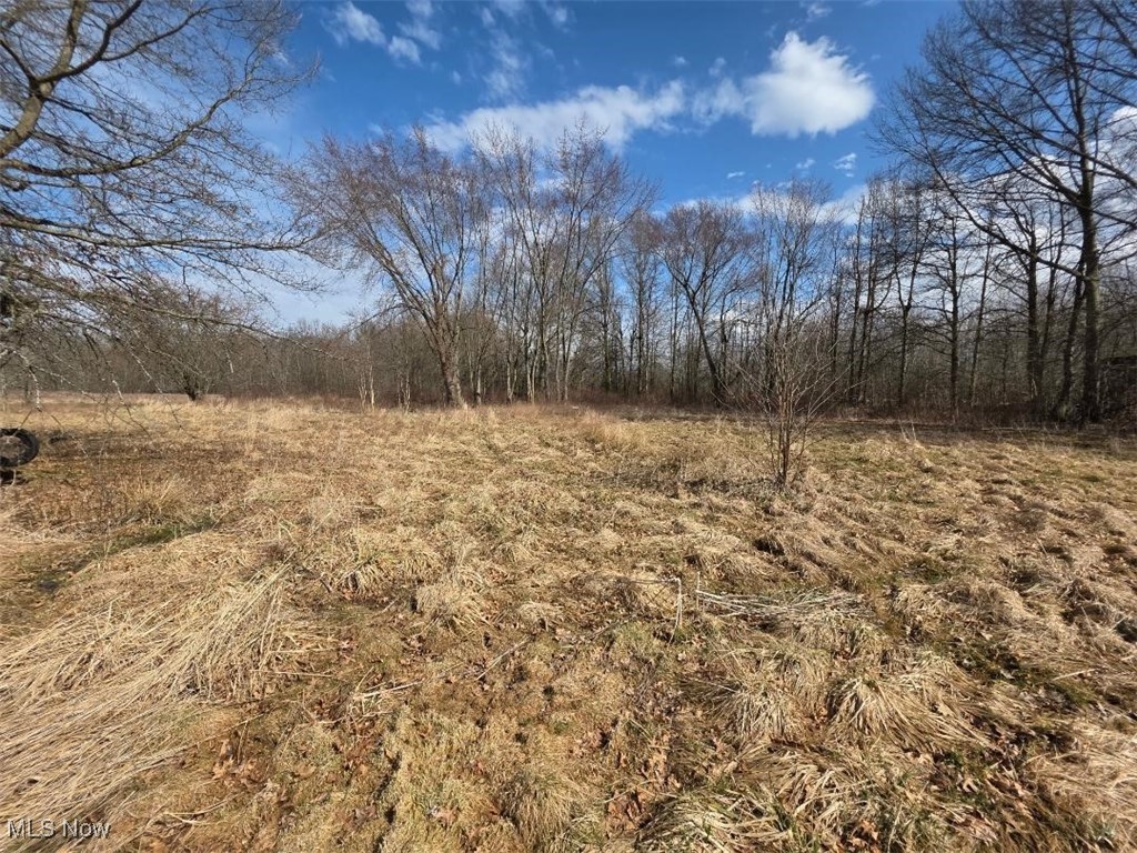 3366 Eagle Creek Road Leavittsburg OH 44430