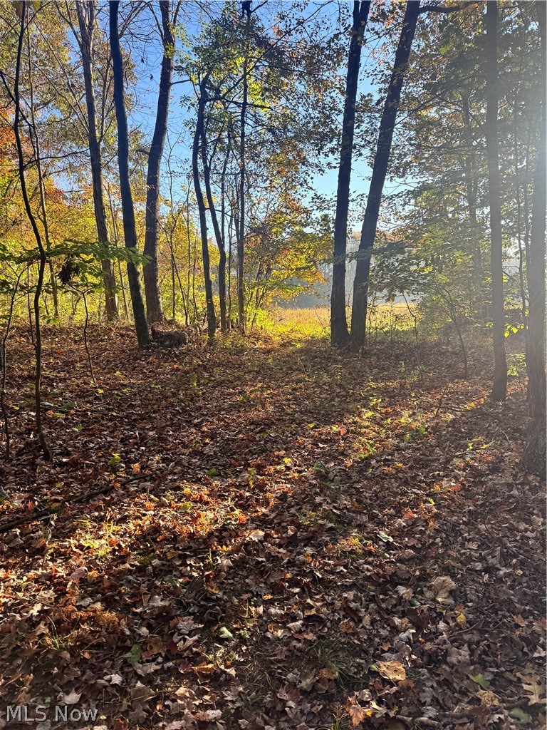 Township Road 303 Coshocton OH 43812