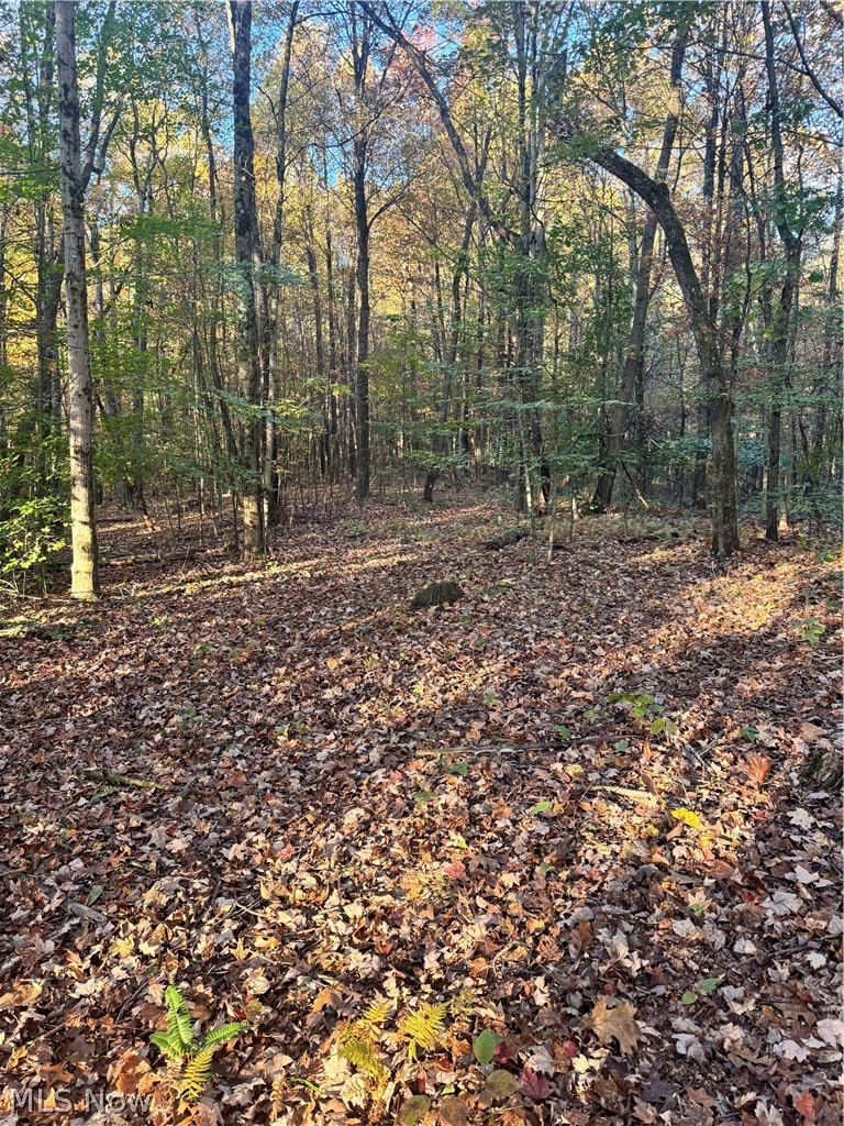 Township Road 303 Coshocton OH 43812