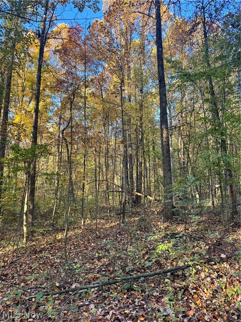 Township Road 303 Coshocton OH 43812