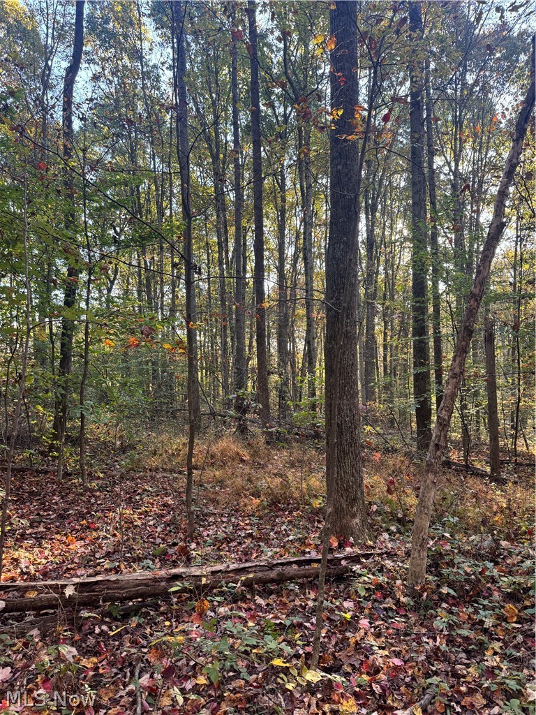 Township Road 303 Coshocton OH 43812