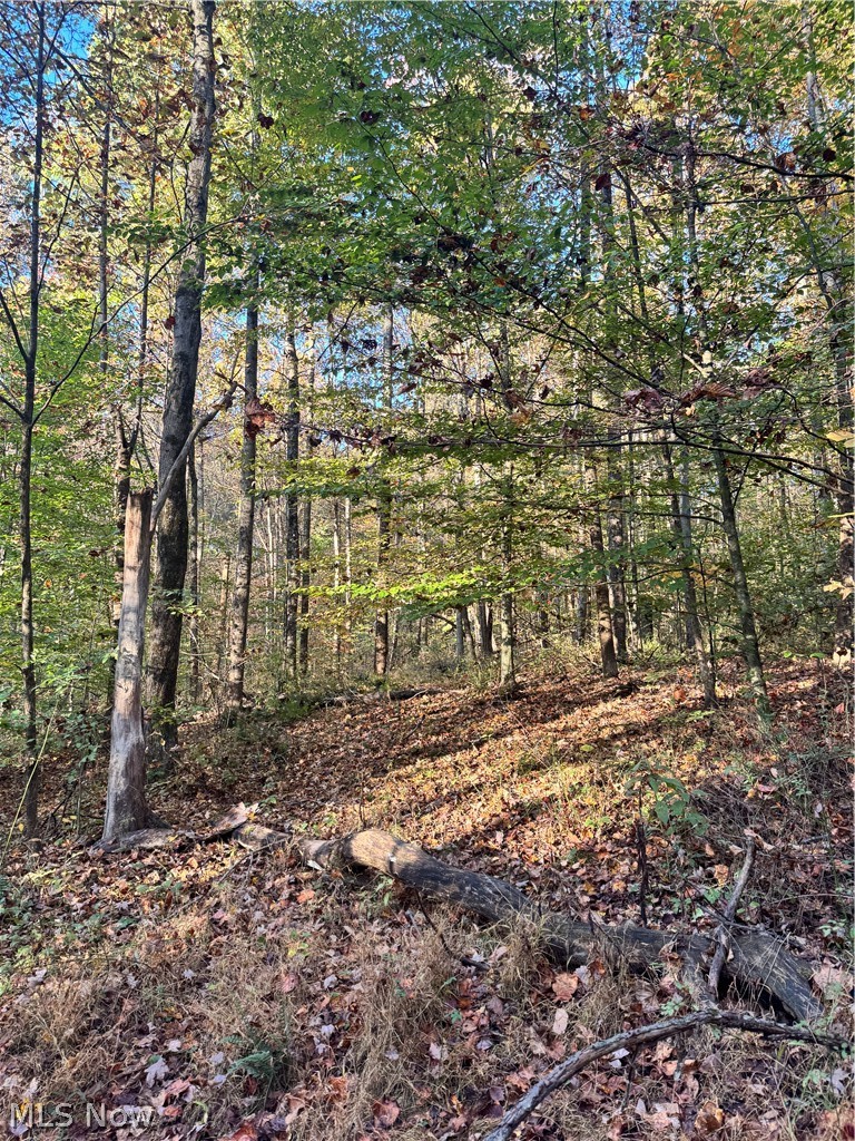 Township Road 303 Coshocton OH 43812