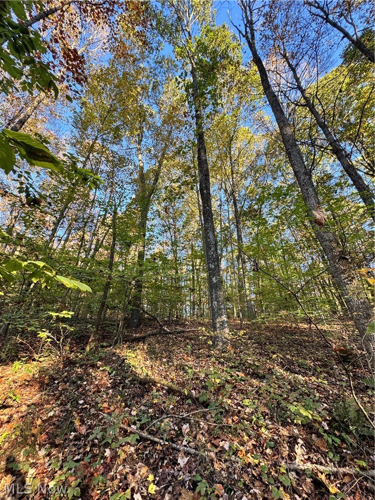 Township Road 303 Coshocton OH 43812