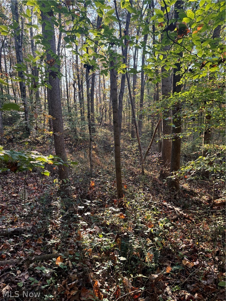 Township Road 303 Coshocton OH 43812