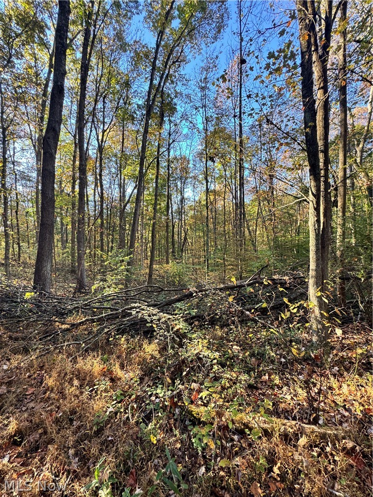 Township Road 303 Coshocton OH 43812