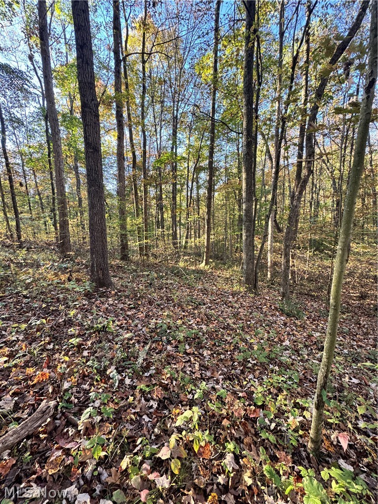 Township Road 303 Coshocton OH 43812