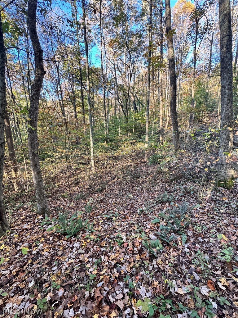 Township Road 303 Coshocton OH 43812