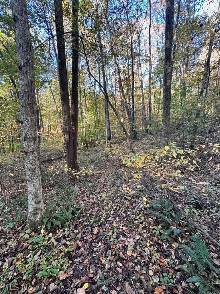 Township Road 303 Coshocton OH 43812
