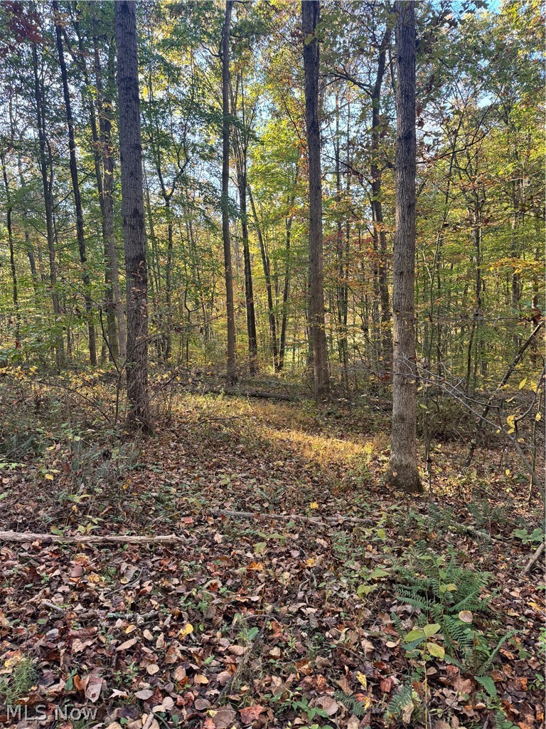 Township Road 303 Coshocton OH 43812