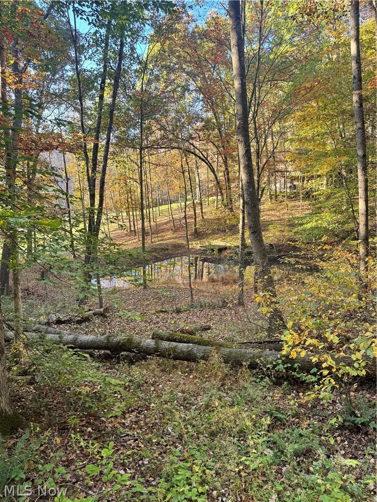 Township Road 303 Coshocton OH 43812