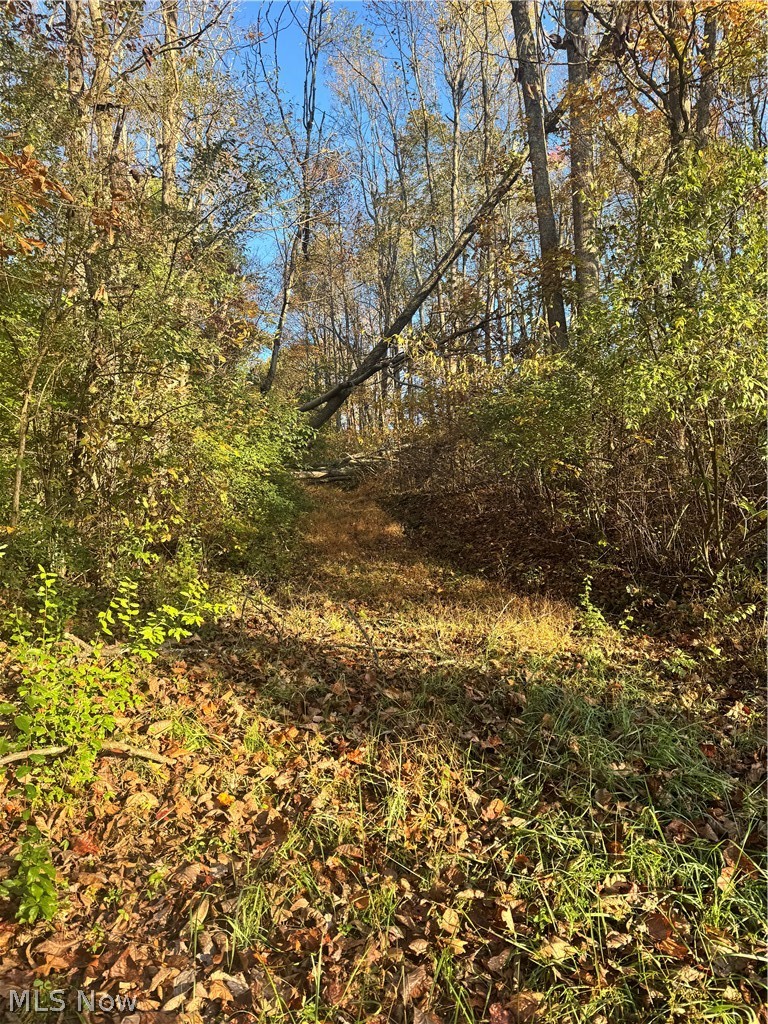 Township Road 303 Coshocton OH 43812