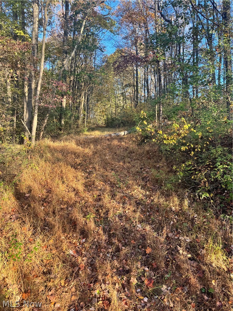 Township Road 303 Coshocton OH 43812