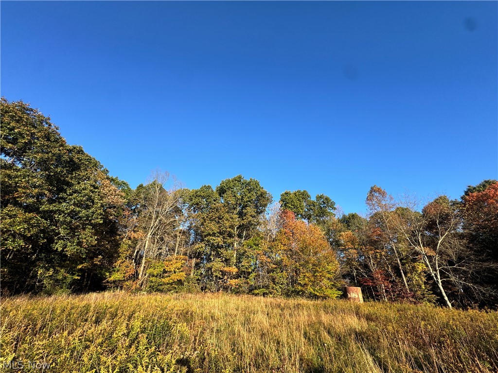 Township Road 303 Coshocton OH 43812