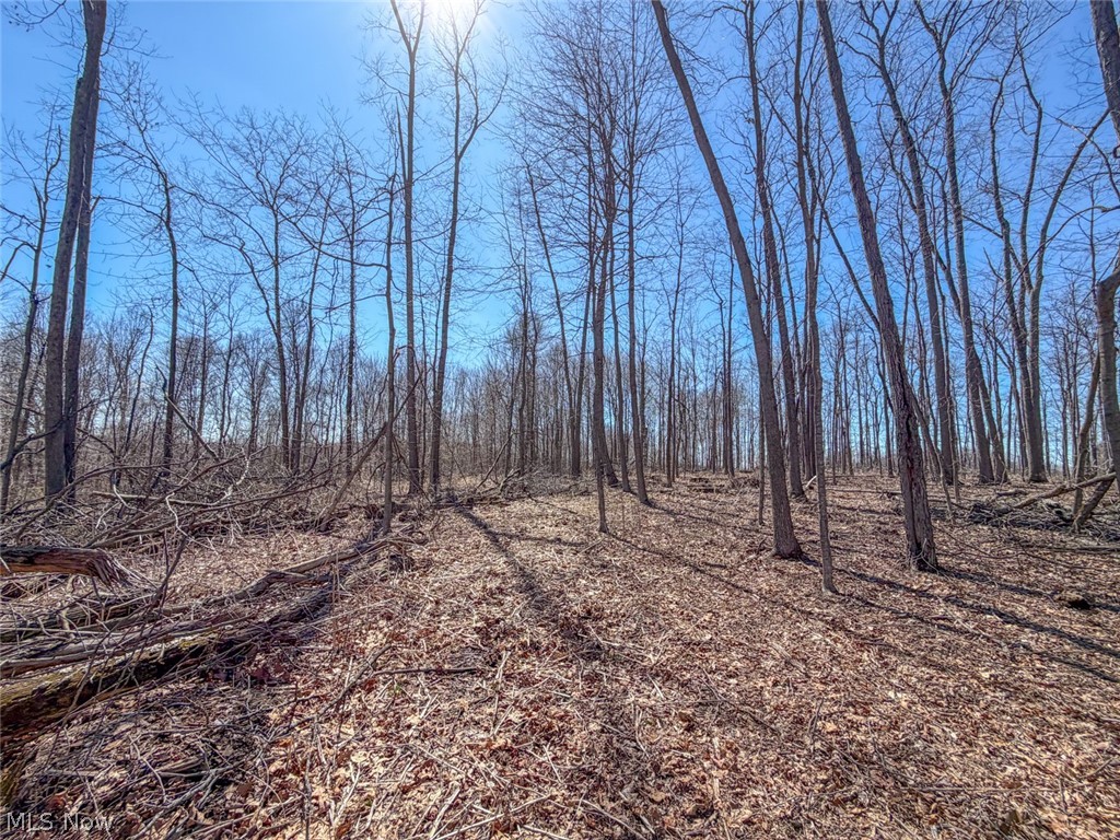 17970 Scott Road Mount Vernon OH 43050