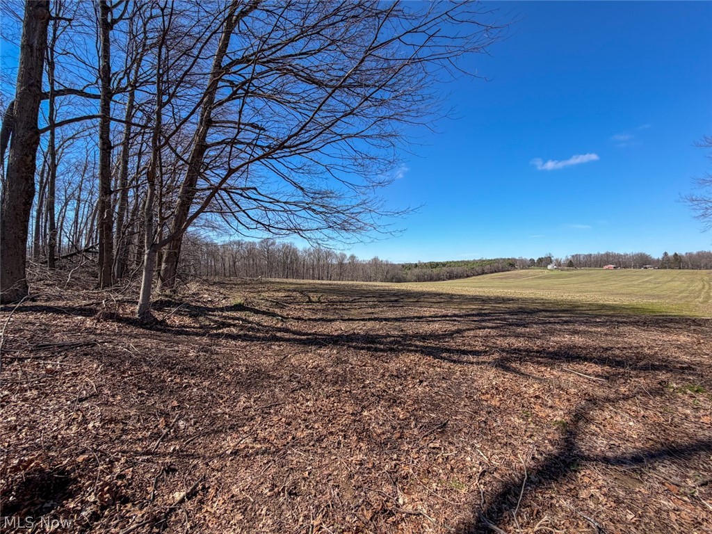 17970 Scott Road Mount Vernon OH 43050
