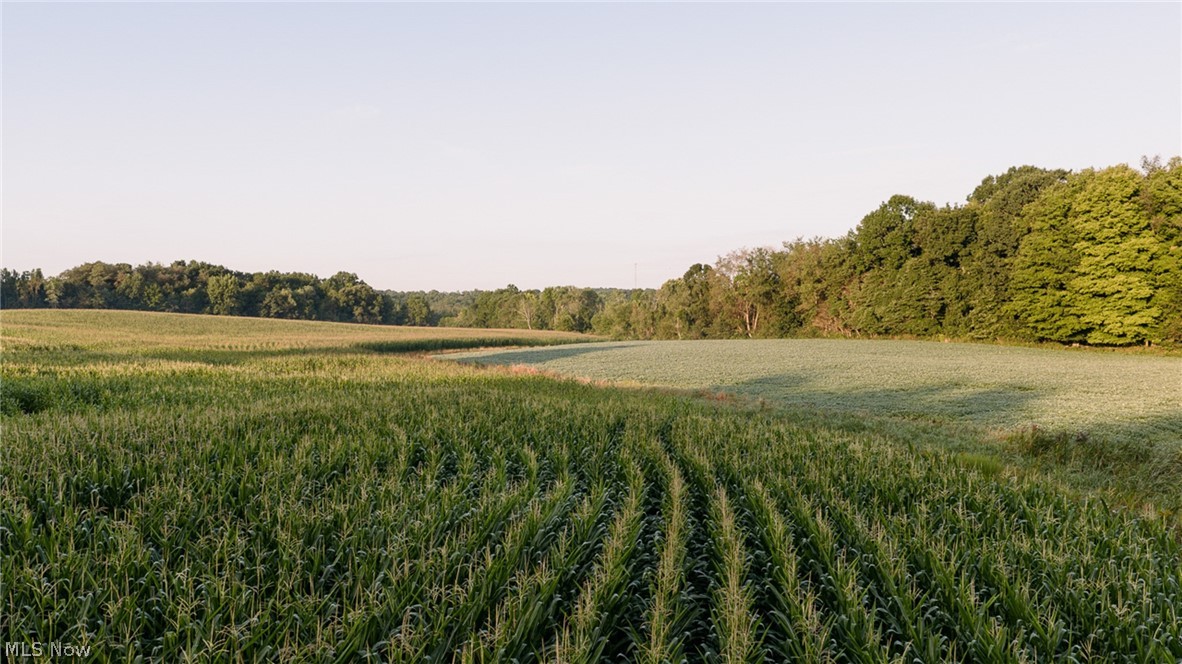 6604 W Middletown Road Canfield OH 44406