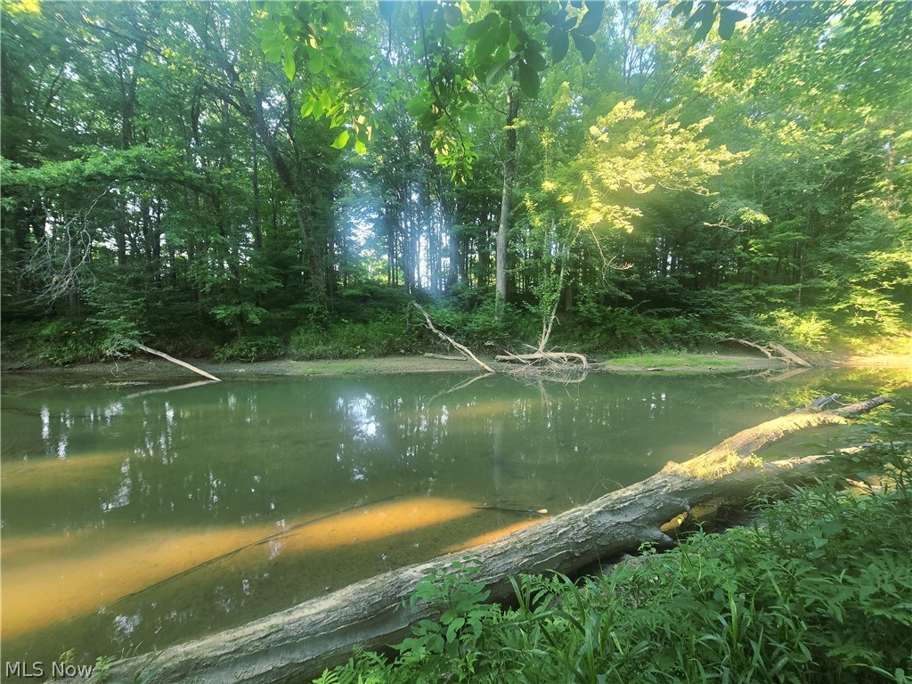 V/l Nelson Mosier Road Southington OH 44470