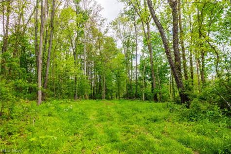 4686 Valley Road Wooster OH 44691