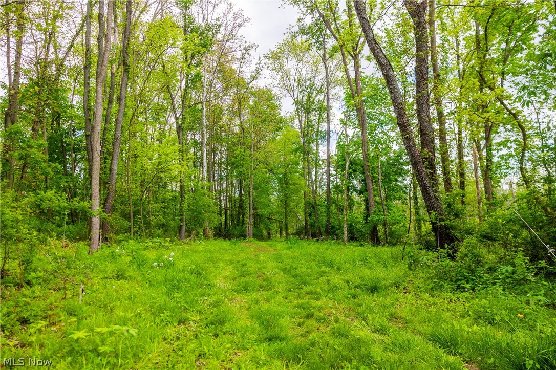 4686 Valley Road Wooster OH 44691