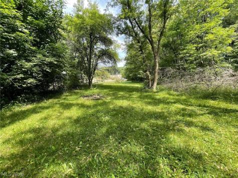 V/l Massillon Road Akron OH 44312