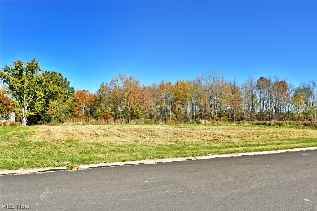 10 Bayview Circle Cortland OH 44410