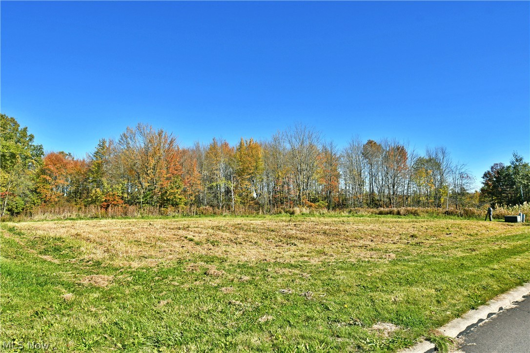 10 Bayview Circle Cortland OH 44410