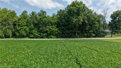 Goudy Road Orrville OH 44667