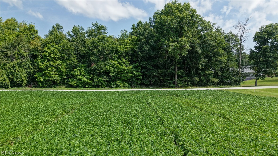 Goudy Road Orrville OH 44667