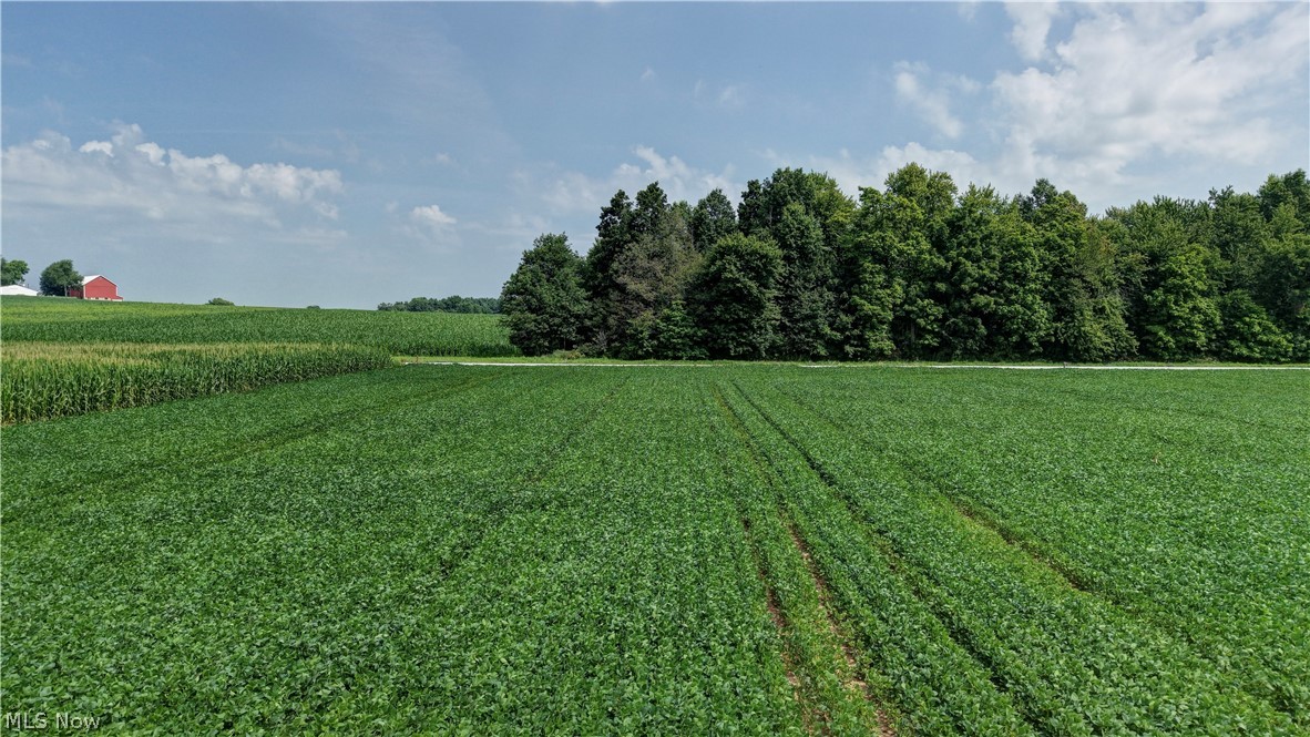 Goudy Road Orrville OH 44667