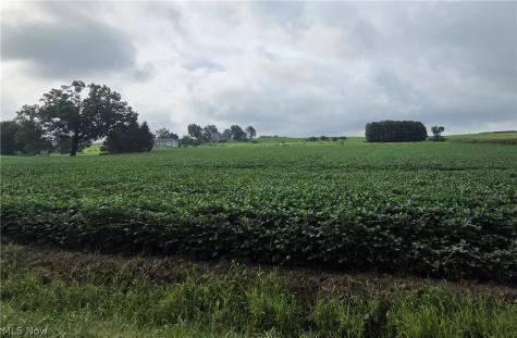 Goudy Road Orrville OH 44667