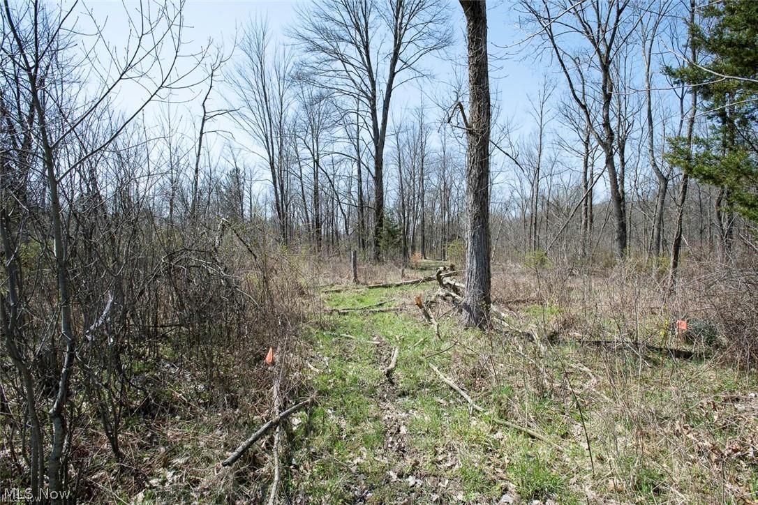 Ville Drake Road Strongsville OH 44149